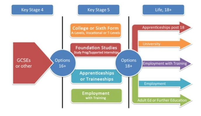Options after Year 11 diagram - website