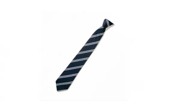 School-Tie-600x338